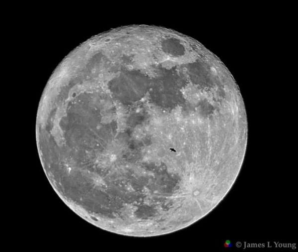 Video frame of supermoon showing silhouetted bird. (11-14-2016)