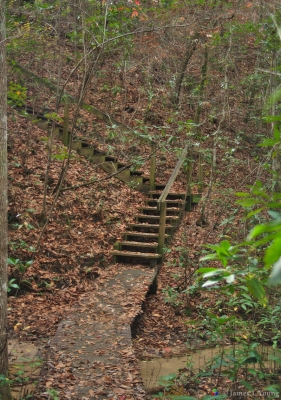 Very steep wooden stairs on the trail. (12-27-2016) - Bluffs and Ravines Preserve.