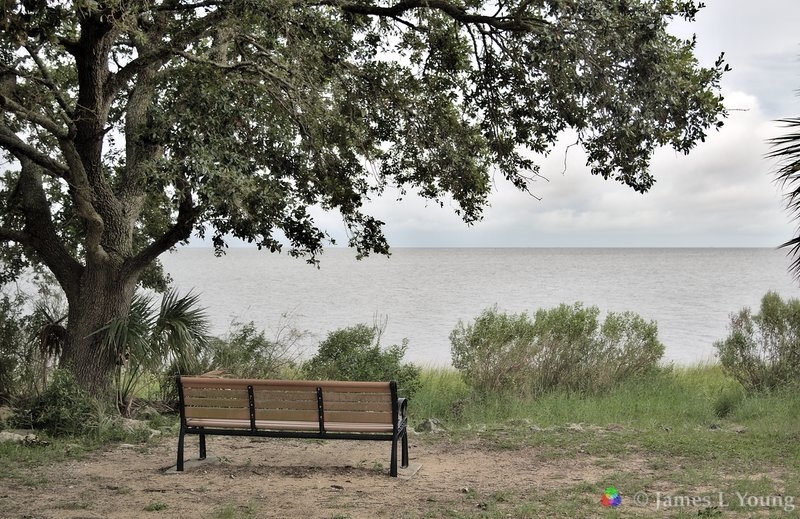 View of John's bench as hurricane Hermine approaches. (09-01-2016) - St. Marks National Wildlife Refuge.