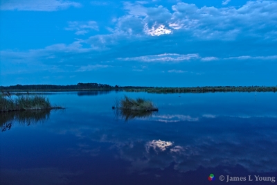 Moon illuminated clouds reflected by water in Stoney Bayou. (7/30/2015) - St. Marks National Wildlife Refuge.
