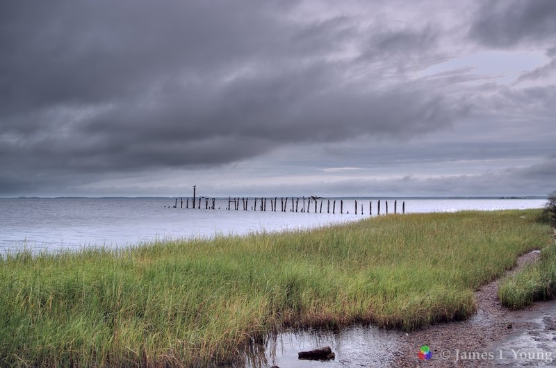 The old pier with hurricane Hermine storm clouds. (09-01-2016) - St. Marks National Wildlife Refuge.