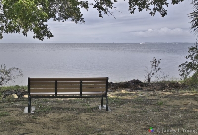 Photo of the new John’s bench looking out over the ocean. (04-04-2017) - St. Marks National Wildlife Refuge.