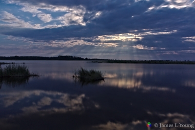 Crepuscular moonbeams reflected by water in Stoney Bayou. (7/30/2015) - St. Marks National Wildlife Refuge.
