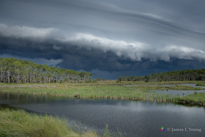 Storm front moving in. (07-21-2020) - St. Marks National Wildlife Refuge.