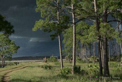 Very dark clouds over Stoney Bayou. (07-21-2020) - St. Marks National Wildlife Refuge.