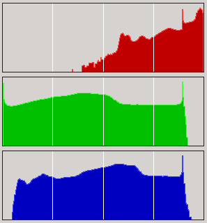 Enterprise histogram